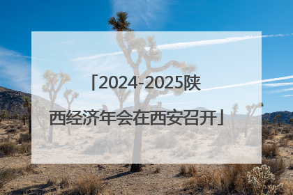 2024-2025陕西经济年会在西安召开