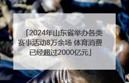 2024年山东省举办各类赛事活动8万余场 体育消费已经超过2000亿元