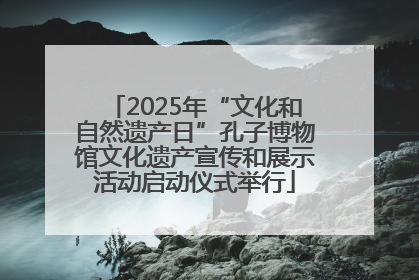 2025年“文化和自然遗产日”孔子博物馆文化遗产宣传和展示活动启动仪式举行