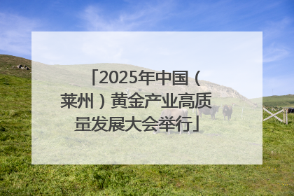 2025年中国（莱州）黄金产业高质量发展大会举行