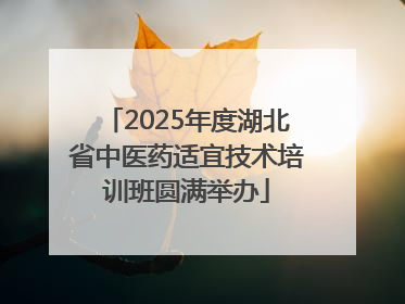 2025年度湖北省中医药适宜技术培训班圆满举办