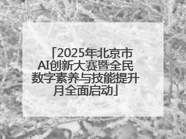 2025年北京市AI创新大赛暨全民数字素养与技能提升月全面启动