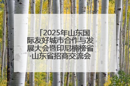 2025年山东国际友好城市合作与发展大会暨印尼楠榜省·山东省招商交流会在济南槐荫举行