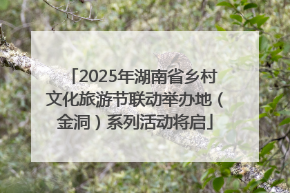 2025年湖南省乡村文化旅游节联动举办地（金洞）系列活动将启