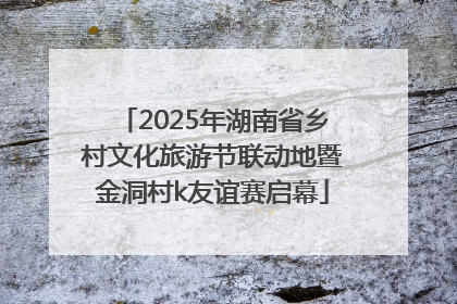 2025年湖南省乡村文化旅游节联动地暨金洞村k友谊赛启幕