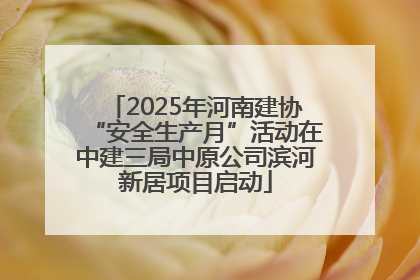 2025年河南建协“安全生产月”活动在中建三局中原公司滨河新居项目启动