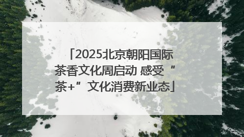 2025北京朝阳国际茶香文化周启动 感受“茶+”文化消费新业态