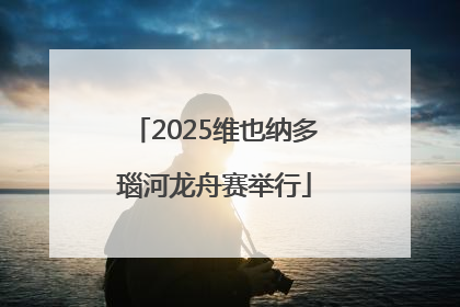 2025维也纳多瑙河龙舟赛举行
