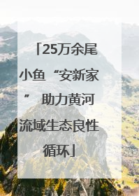 25万余尾小鱼“安新家” 助力黄河流域生态良性循环