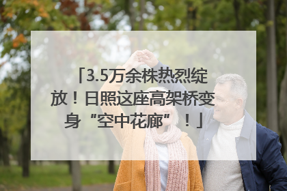 3.5万余株热烈绽放！日照这座高架桥变身“空中花廊”！