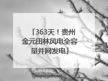 363天！贵州金元田林风电全容量并网发电