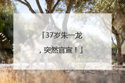 37岁朱一龙，突然官宣！