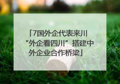 7国外企代表来川 “外企看四川”搭建中外企业合作桥梁