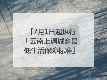 7月1日起执行！云南上调城乡最低生活保障标准