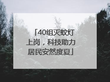 40组灭蚊灯上岗，科技助力居民安然度夏