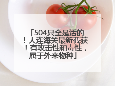 504只全是活的！大连海关最新截获！有攻击性和毒性，属于外来物种