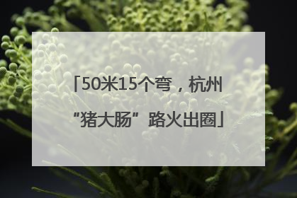 50米15个弯，杭州“猪大肠”路火出圈