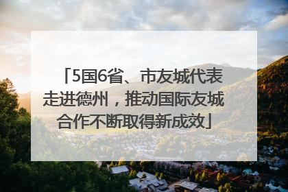 5国6省、市友城代表走进德州，推动国际友城合作不断取得新成效
