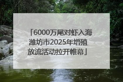 6000万尾对虾入海 潍坊市2025年增殖放流活动拉开帷幕