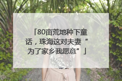 80亩荒地种下童话，珠海这对夫妻“为了家乡我愿意”