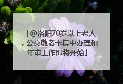 @洛阳70岁以上老人，公交敬老卡集中办理和年审工作即将开始