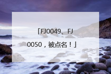 FJ0049、FJ0050，被点名！